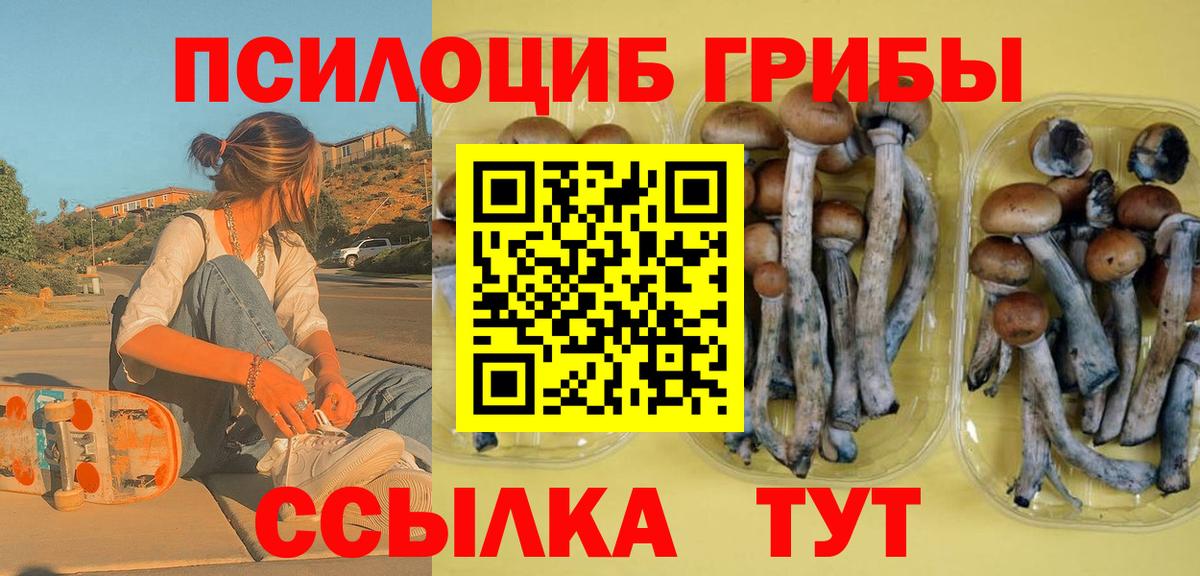 Галлюциногенные грибы ЛСД Кулебаки