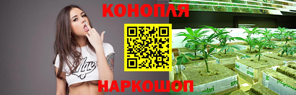 Канабис OG Kush Кулебаки